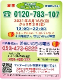 ls@l̂̓db