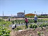 ls@ĂĂmۑvWFNgn