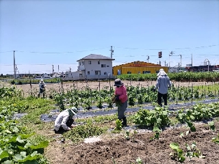 作業4人 作業4人