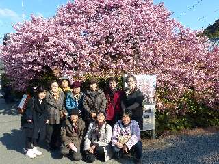小山町 宅老所 小山町 宅老所