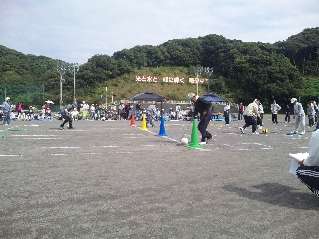 写真1 写真1